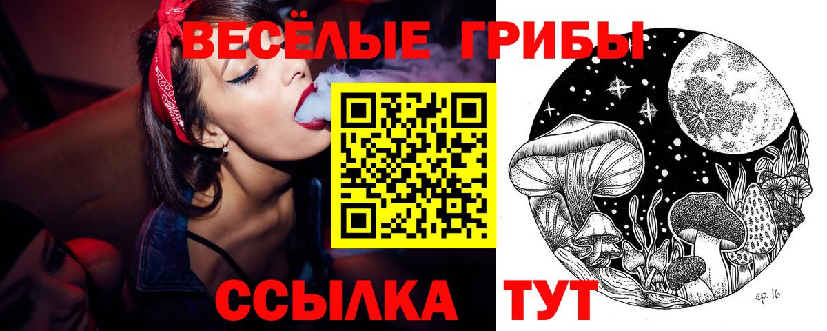 Псилоцибиновые грибы Psilocybe Кудрово