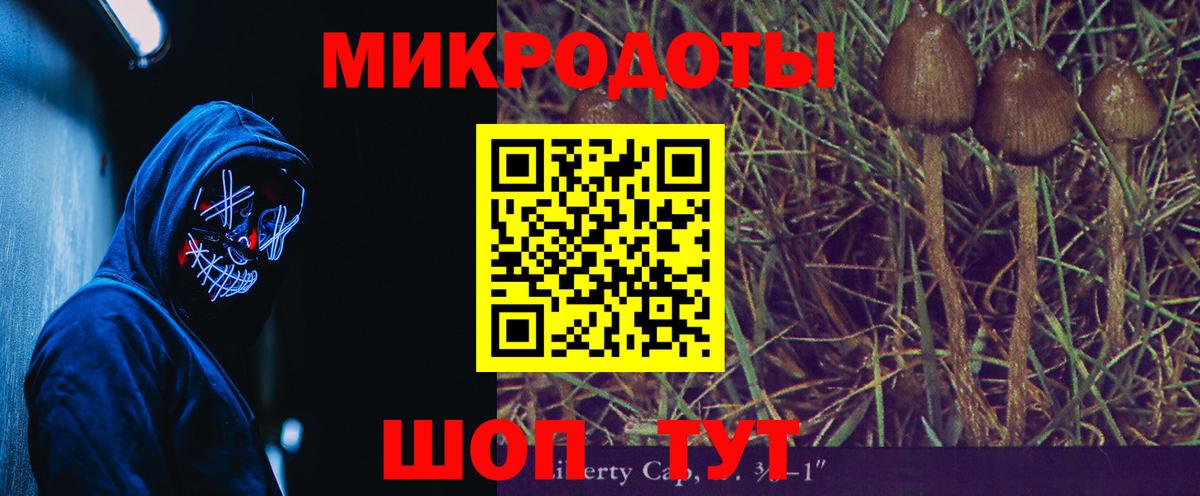 Псилоцибиновые грибы мухоморы  Вход с VPN  Кудрово  Псилоцибиновые грибы мицелий 